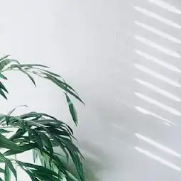  献于天下,方见其材知乎