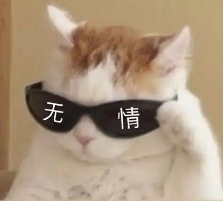 猫猫头像合集,来不及解释了,快上车养猫
