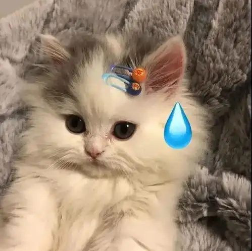 闺蜜头像太赞了