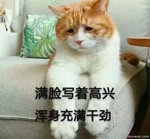  人均存款815,第一届90后已经不敢辞职了丨飞碟启示录