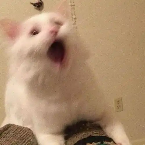  微信头像卡通动漫情侣头像一人一半,超nice的情侣头像,赶快换起来吧