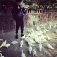  欧美情侣个性头像发布中心2015待我长发及腰将军归来可好