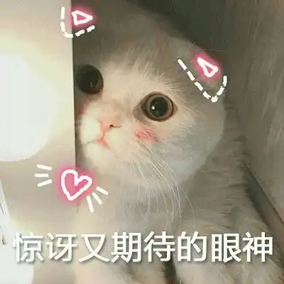  来一波沙雕又可爱的猫咪表情包