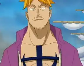  千呼万唤始出来,海贼王第十一人,你猜对了吗