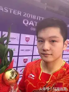  惜败马龙张继科到决赛不敌韩国国乒小将未来或成樊振东最大帮手