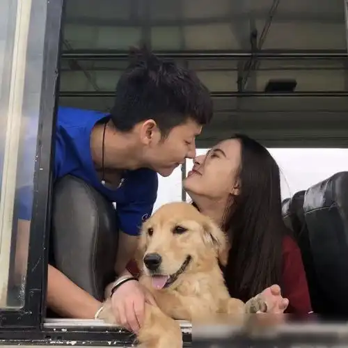  宠溺情侣头像我们好好活着,一起长胖,一起变老