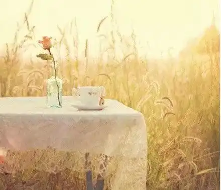  用减法减少烦恼,用加法累加幸福