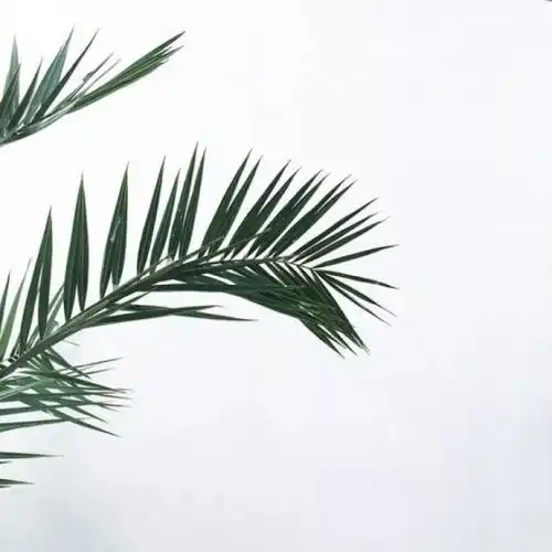  爱你的人,眼神不会骗你