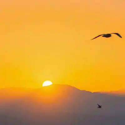  2023最新唯美夕阳风景头像