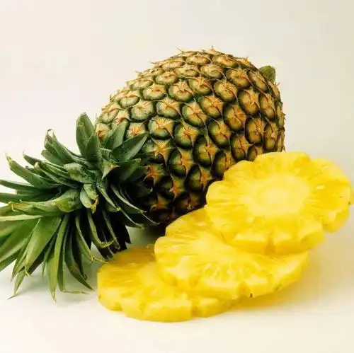  国舞女孩们,是时候被香气环绕了