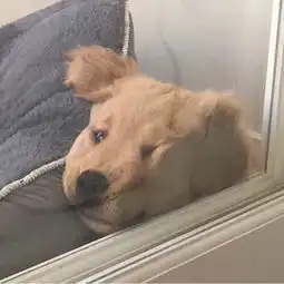 三行情书泽