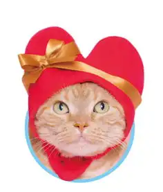 把喵皇包成红心皇后情人节送礼甜蜜首选爱心猫咪头套