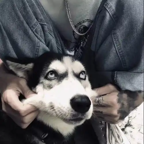  套图头像背景图