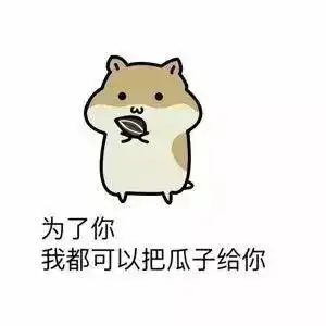  表白专用表情你的套路我的心