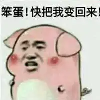  小乳猪情侣头像微信头像图片大全