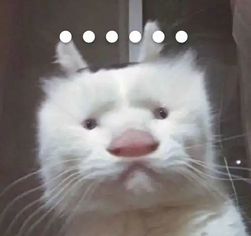  瑜伽小白3大高频犯错体式浪费时间白费力气