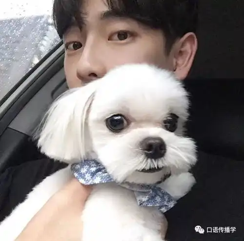  2018年上半年流行语了解一下