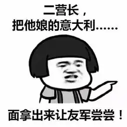 二营长把他娘的意大利梗表情包