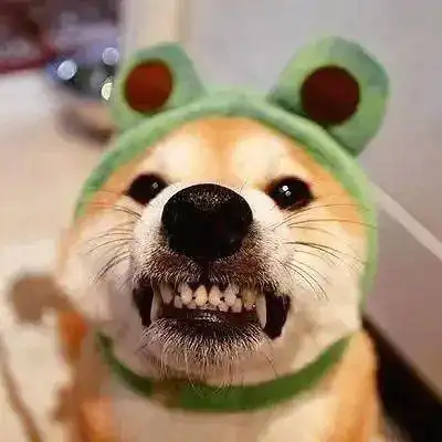  微信头像丨qq情侣头像一男一女,情侣头像吧,情侣头像大全