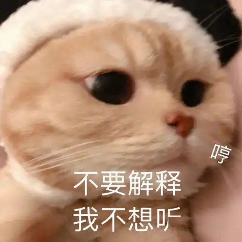  这样的表情,就算是生气时看到了也能笑