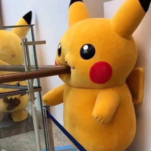 教育