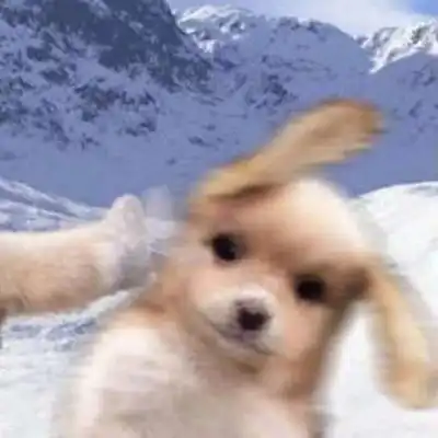  搞笑的情侣头像一左一右两张独一无二奇葩情侣头像