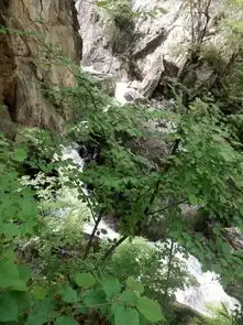  户县太平森林公园游记