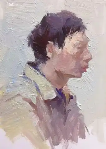  内附讲解文字以及大神级作品