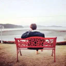  求一对白边的情侣头像,一张是男的坐在公园的长椅上背影,一张是女