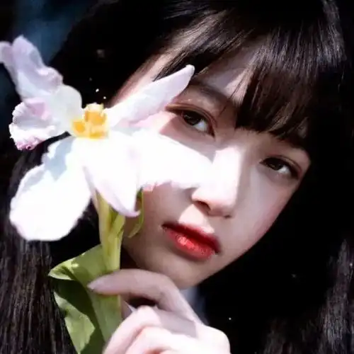  女生头像赤道的温度从未融化乞力马扎罗的雪