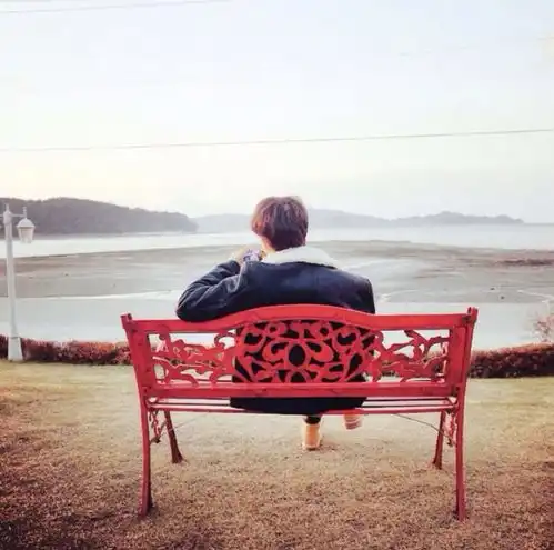  情头像情侣双人两张坐在长椅上,背景是梅花