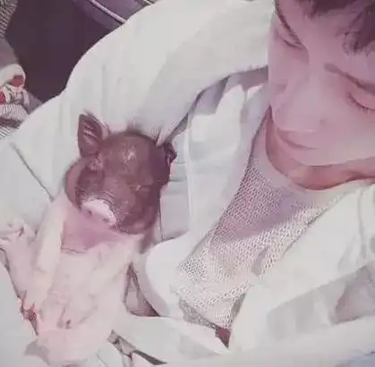  宠粉高手井柏然支招情人节,姐妹这波入股不亏