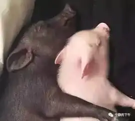  发一句不开心了给你男票,三个行为,爱不爱你心知肚明