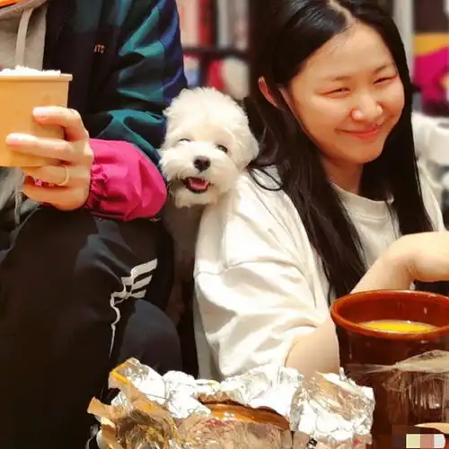  金靖官宣怀孕,孩子父亲点赞金靖动态秀恩爱,更多恋爱细节曝光