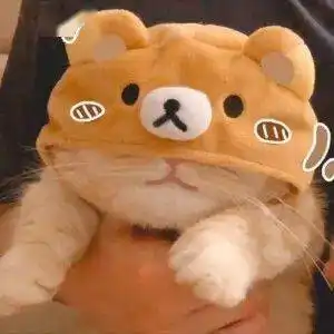  30句情人节发给对象的甜甜句子