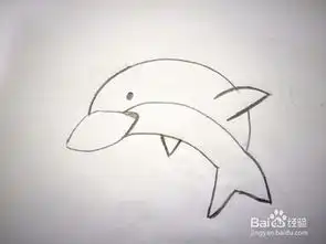 简笔画海豚的画法