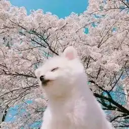  还在和小号用情侣头像百搭情头最近很火,海王必备