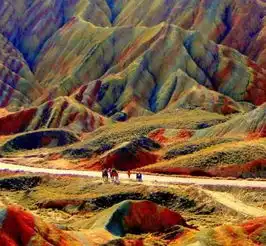  陕西伊势威品志