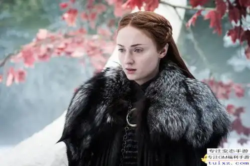  权力的游戏珊莎赞第八季结局感觉真是太棒了