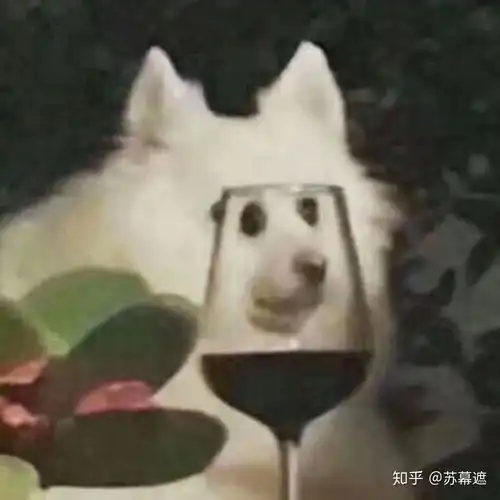  多高的男孩子喜欢177的女孩子