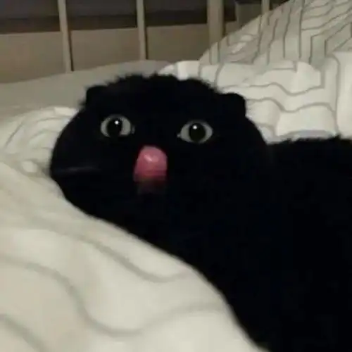  碎片时间护肤,是打工人最后的倔强编辑梳妆台