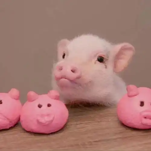  背景图次次心动次次难过次次教训