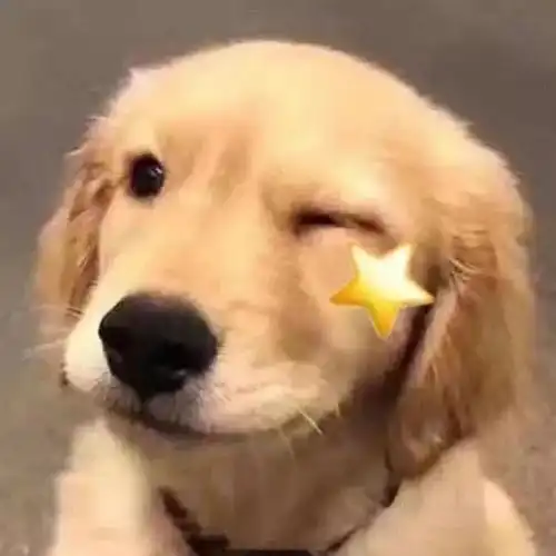  你是水肿还是胖5招教你自我检测