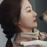  狗和人的情侣头像主人与狗的情侣头像