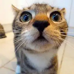  饿死了淘宝都不知道要买什么求推荐