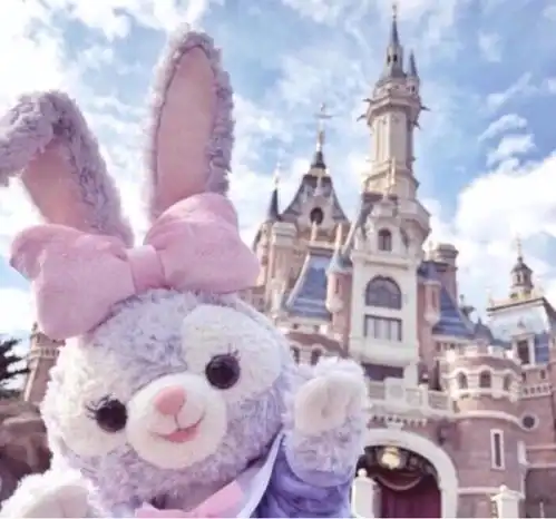  星黛露淘宝不能卖,为什么天猫就可以逻辑分享