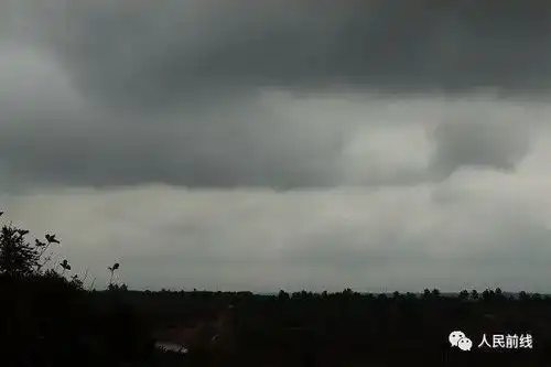  关注兵哥哥的真人版荒野求生,你想不想试一下