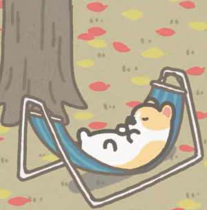  网络热转的柯基动画短片,暖心又治愈