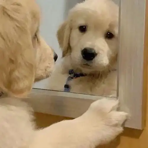  头像背景图丨我们从窗台的花聊到宇宙爆炸,却没有机会拥抱一下