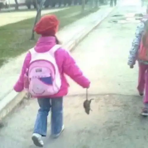  无聊图热榜020422打卡